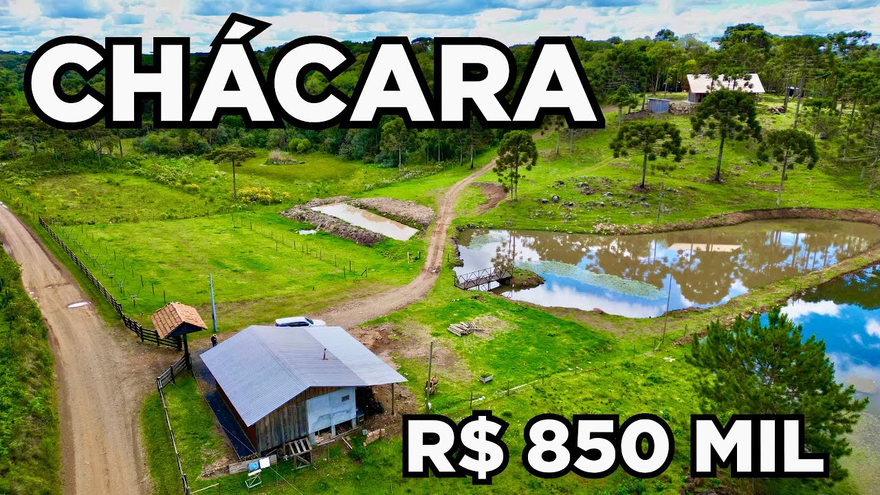 CHÁCARA 2 CASAS CAVALO CRIOLO 2 LAGOS ANIMAIS E NATUREZA R$850MIL (vendido) 