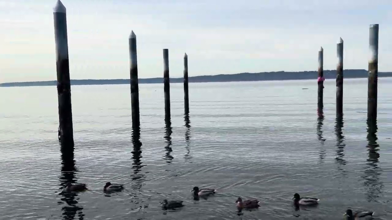 The boat launch at Redondo Beach February 2026. #pugetsound #seattle #tacoma #song #boating #boat