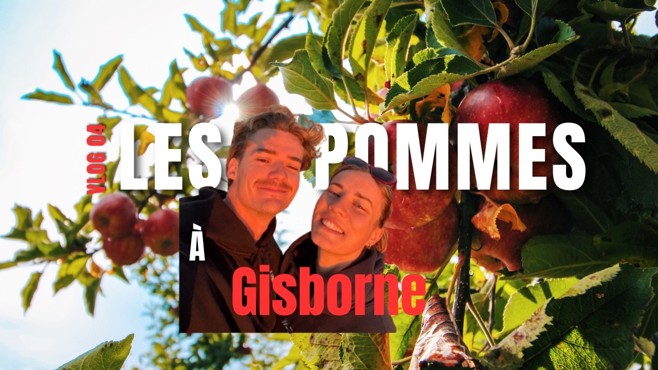 Vlog 4 - Les pommes 🍎
