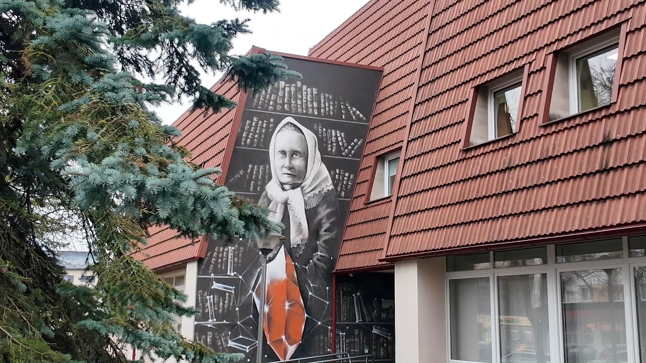 Projektas „Devintieji Žemaitės skaitymai. Potyriai“