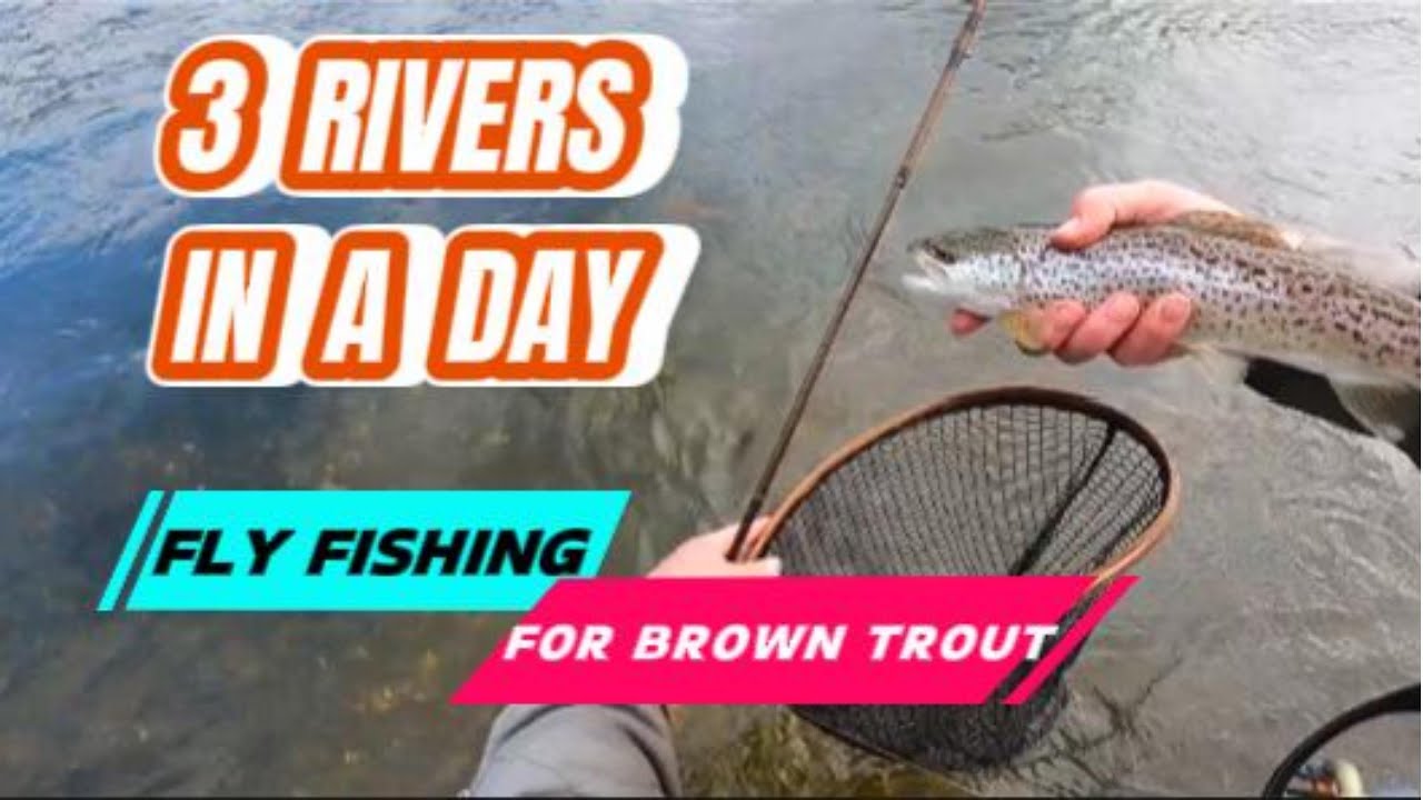 King Parrot, Goulburn & Rubicon River. Fly Fishing. #fishing #flyfishinglife #browntroutfishing