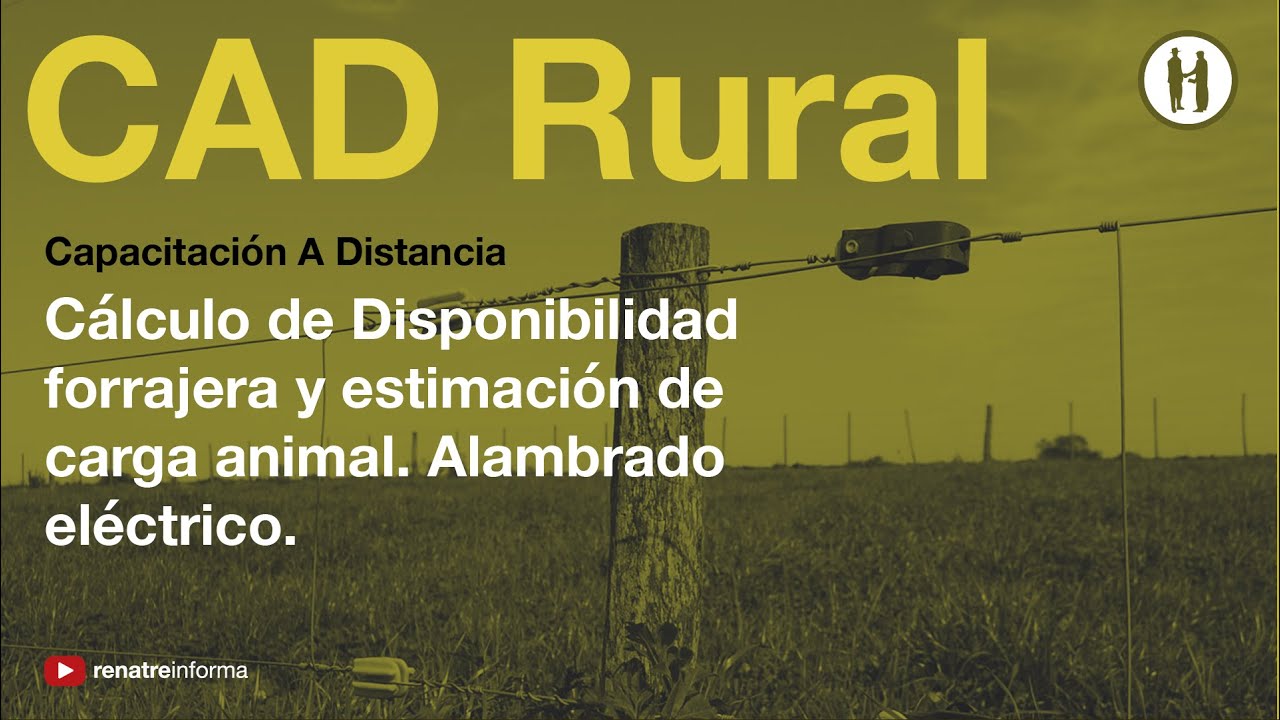 Cálculo de Disponibilidad forrajera y estimación de carga animal. Alambrado eléctrico.