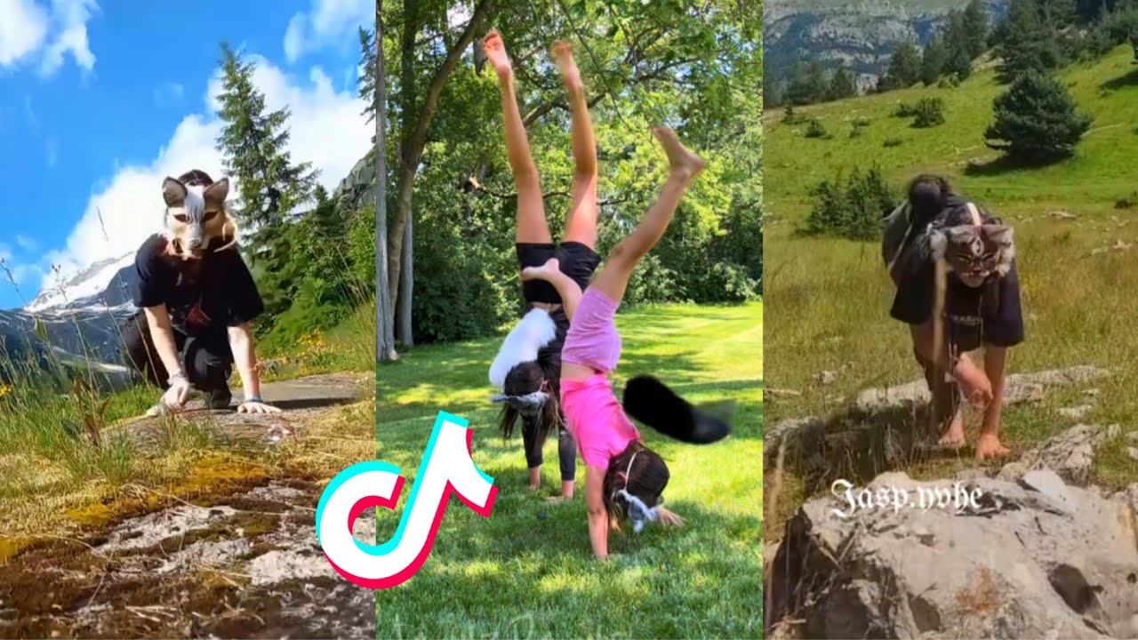 Therian and Quadrobics TikTok Compilation || Alterhumans of TikTok #45