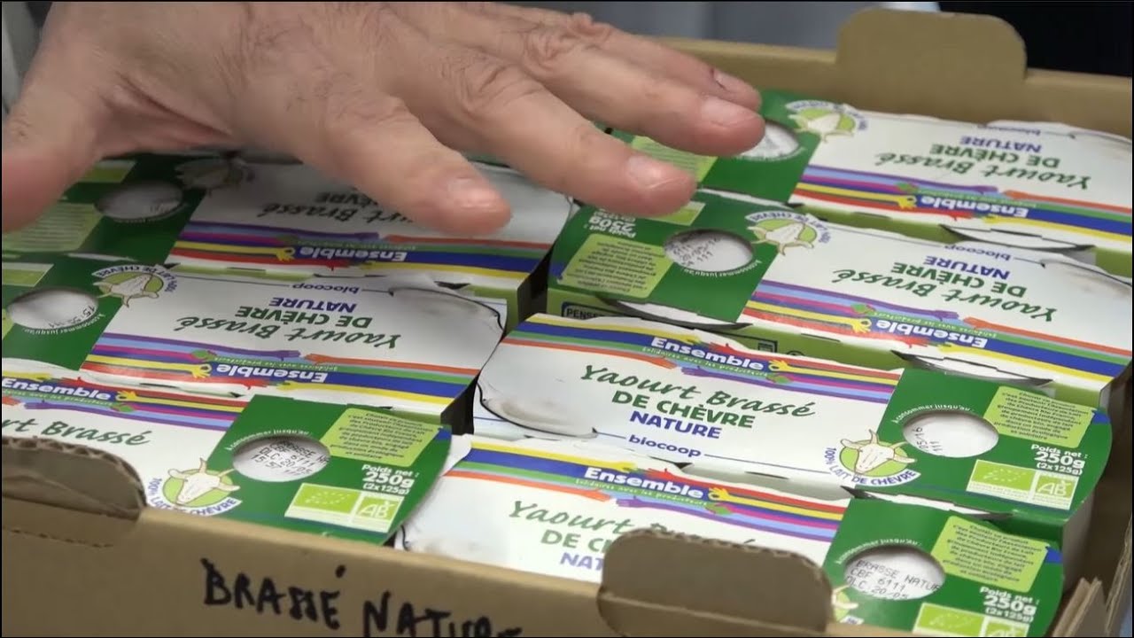 Biocoop : La fili&egrave;re lait de ch&egrave;vre bio & les yaourts de la marque Ensemble