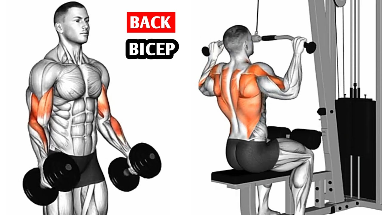 Back & Biceps Pump Like NEVER Before &ndash; Try This Routine!