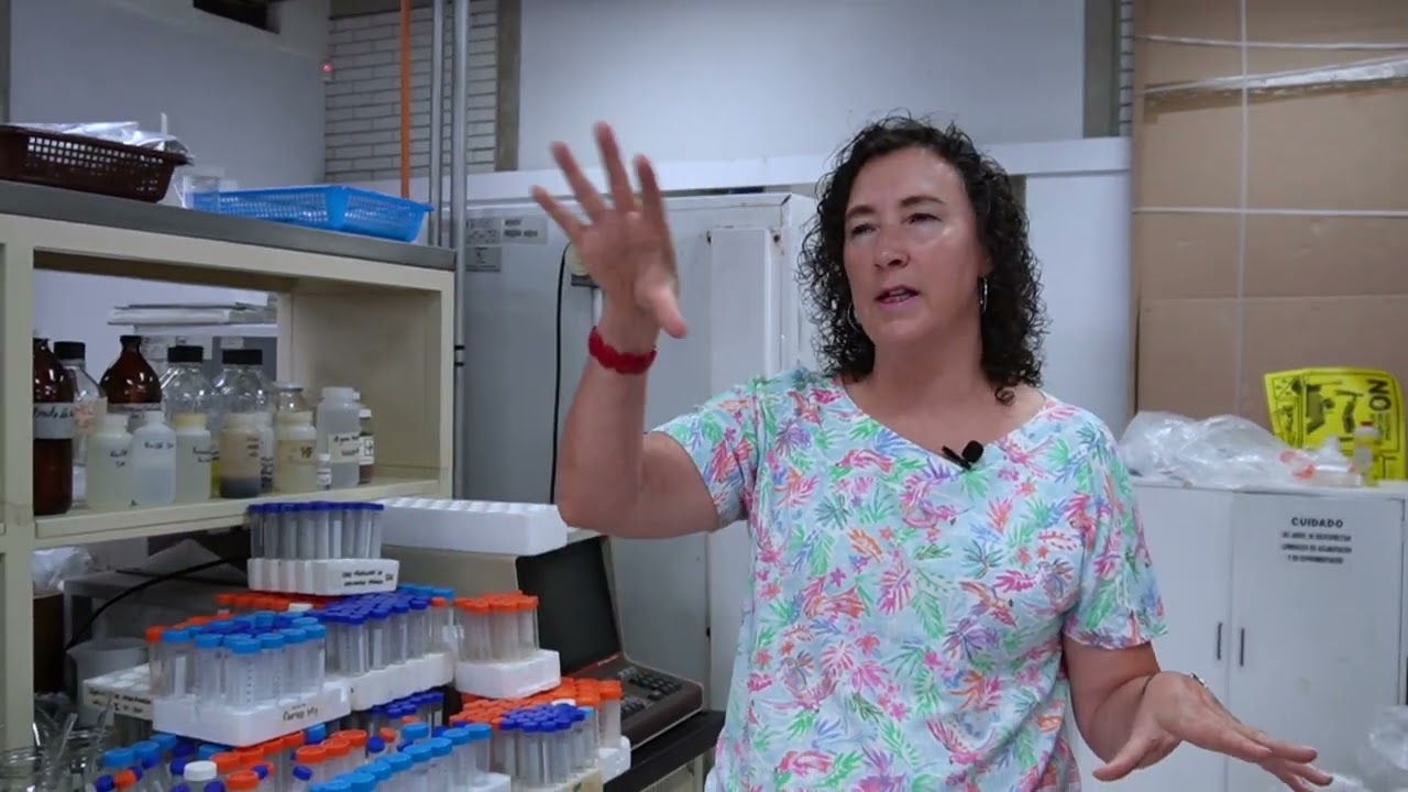 UNIDAD DE ANÁLISIS AMBIENTAL