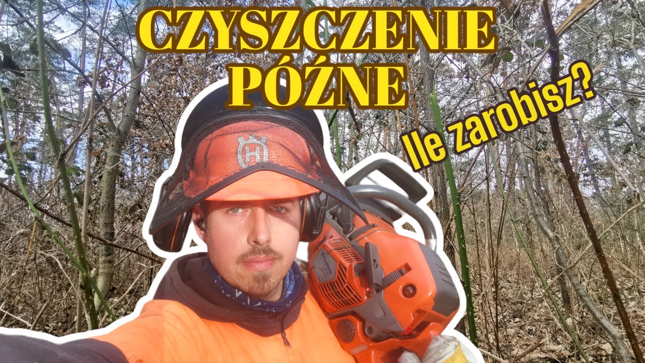 Czyszczenie późne - Ile można zarobić? || Zwykły dzień w lesie || Okiem ZULa