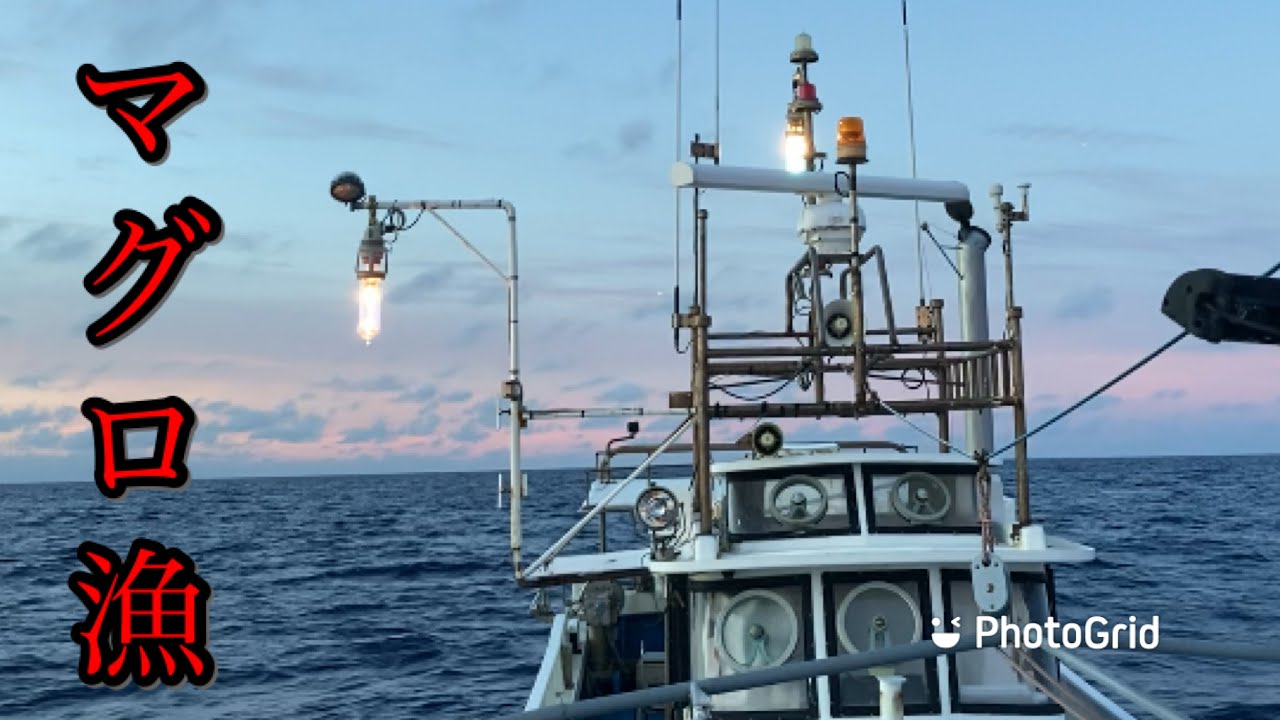 マグロ漁の１日のルーティン紹介します