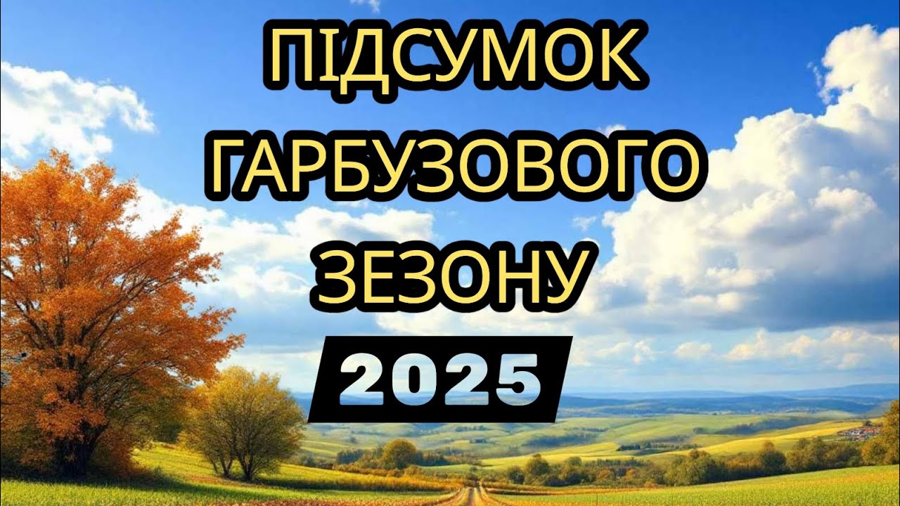 Цього разу точно в мінусах на гарбузах.....