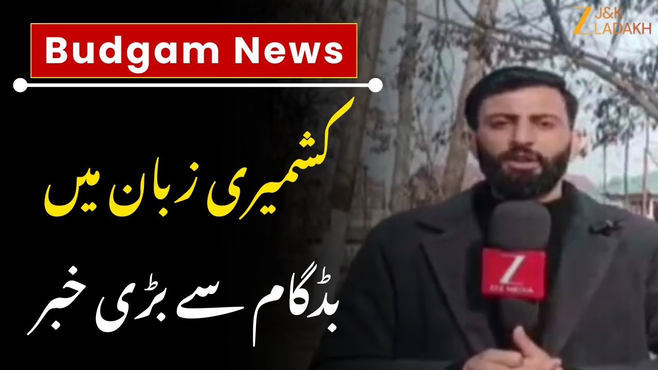 Jammu & Kashmir Budget 2026 : Citizens Hope for Solutions to Unemployment & Local Issues | ZEE JKL