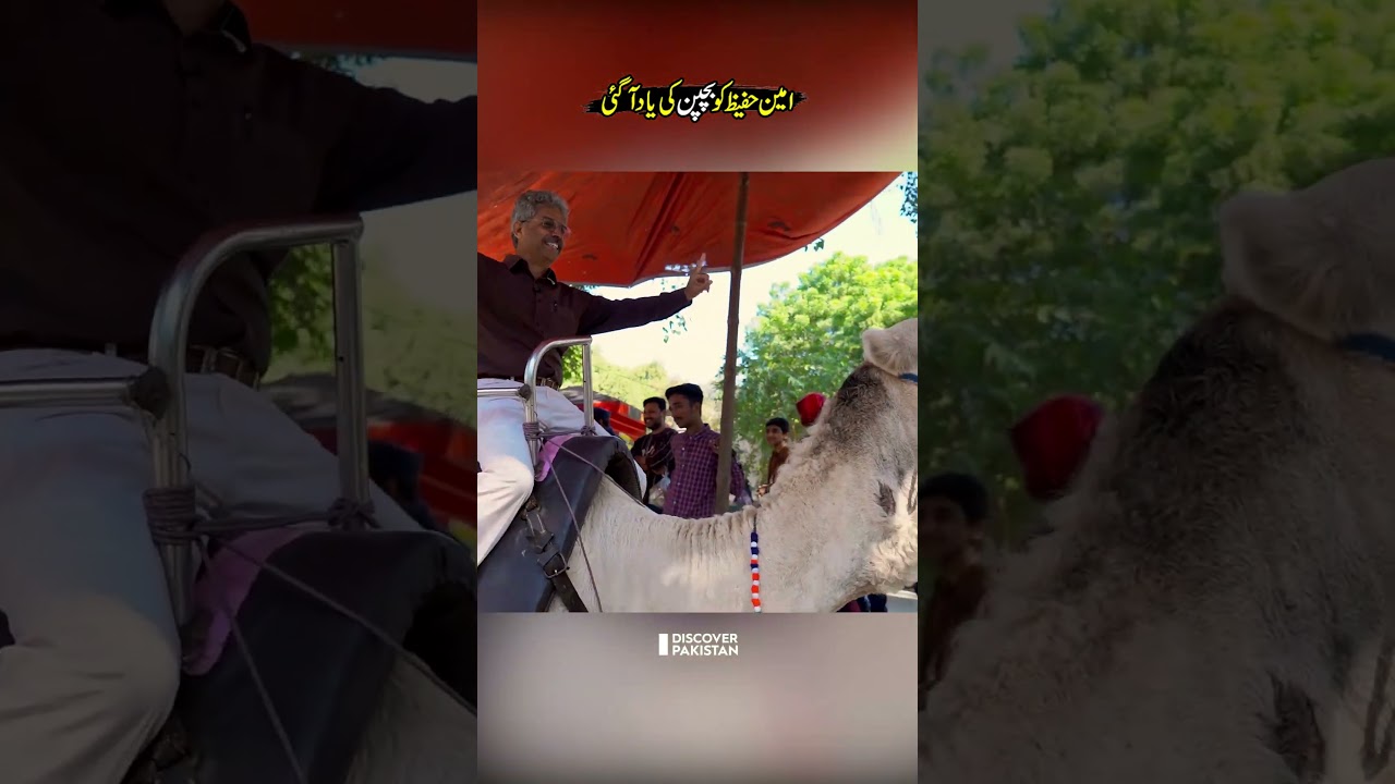 Amin Hafeez at Lahore zoo