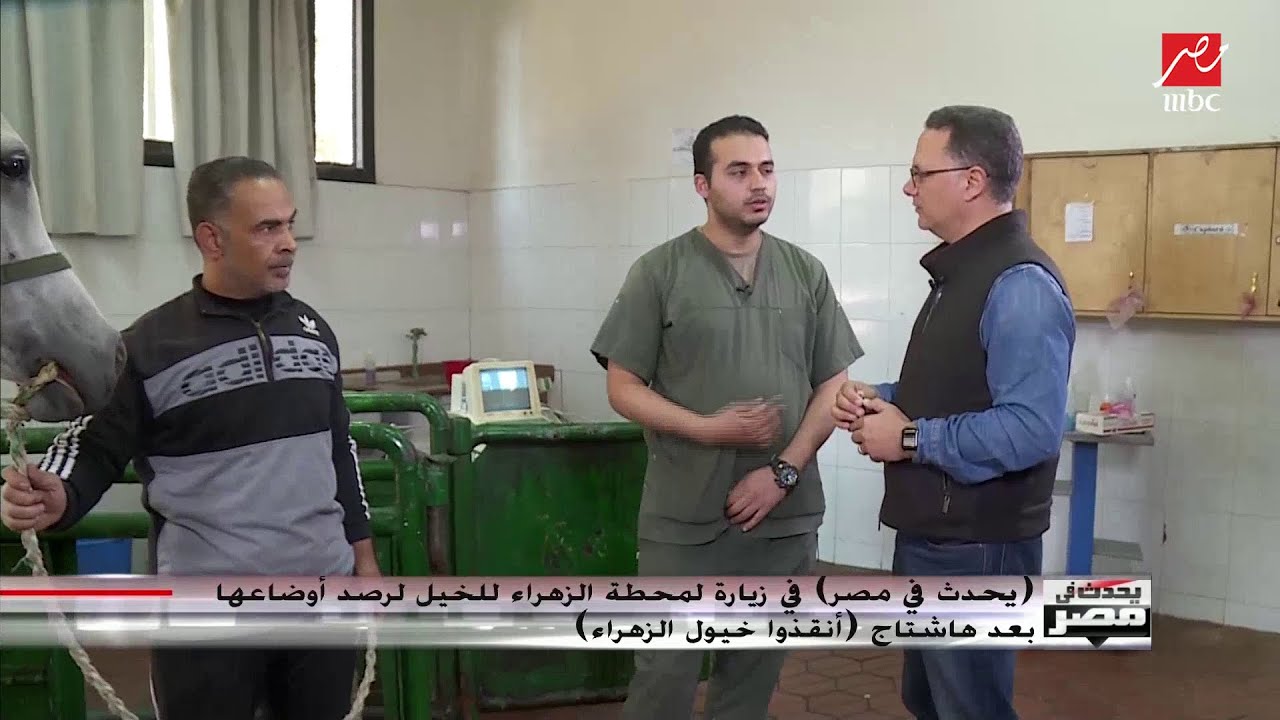كشف بالسونار في محطة الزهراء يكشف شكل جنين الحصان