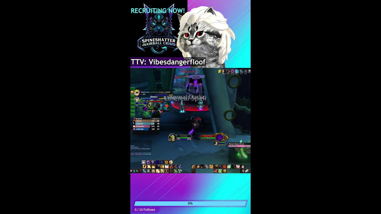 WOW TBC - PALADIN PRE RAID GEARING - REP FARMING