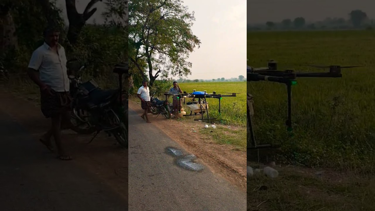 Agriculture spraying drone spraying paddy field #youtubeshorts #drone #shorts #short #Green world 🌍