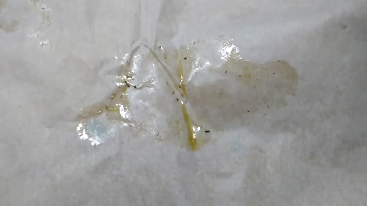 HOW TO MAKE DABS AT HOME 🔥🆓🔥 CHEAP AND EASY