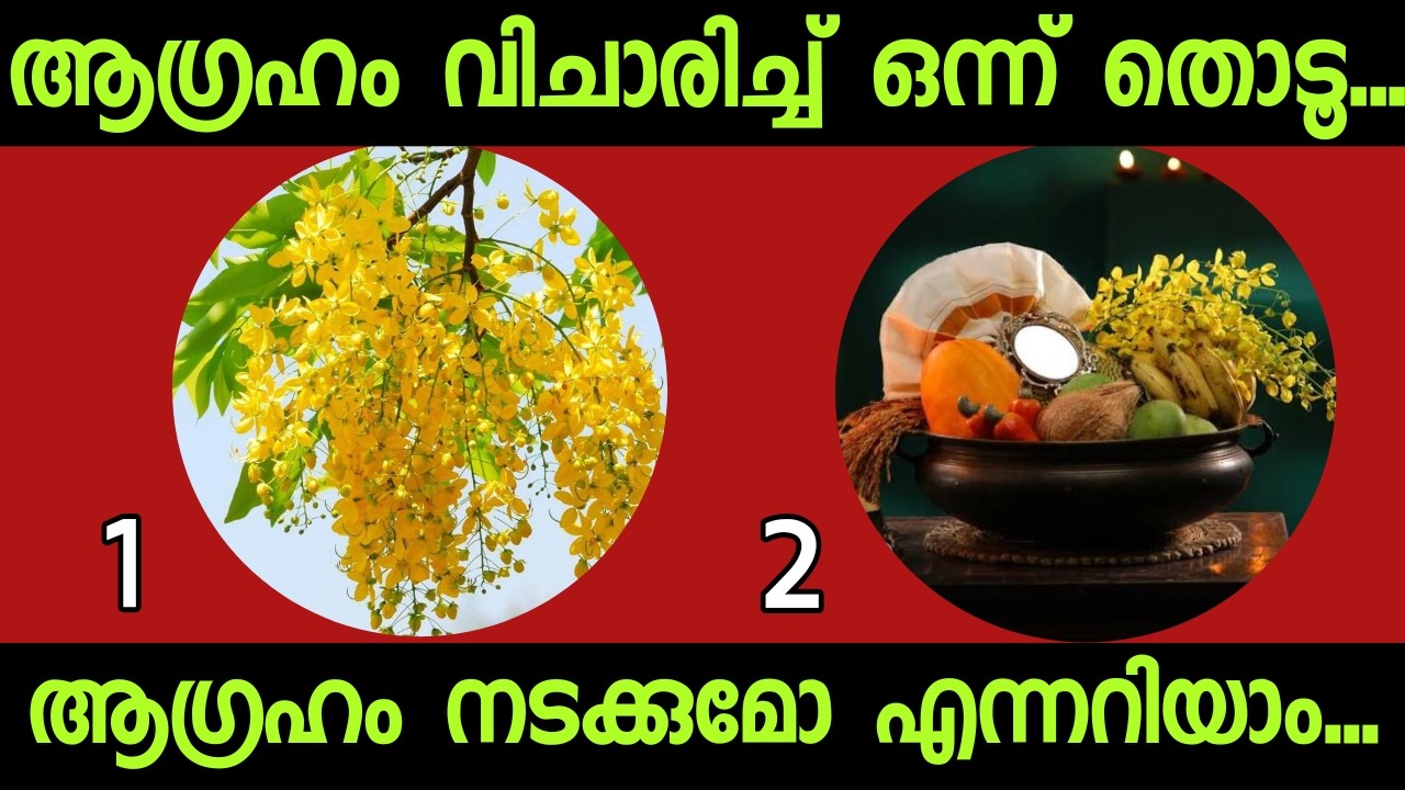 നിങ്ങളുടെ മനസിൽ ഒരു ആഗ്രഹമുണ്ടോ? എങ്കിൽ ചിത്രം തൊട്ടുനോക്കൂആഗ്രഹം സഫലമാകുമോയെന്ന് അറിയാം.#thodukuri