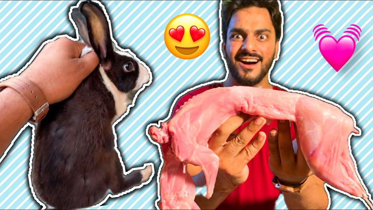 Alhamdulillah Khargosh🐇Zibah kar k Roast bna lia 😍| Mishkat khan | The Fun Fin