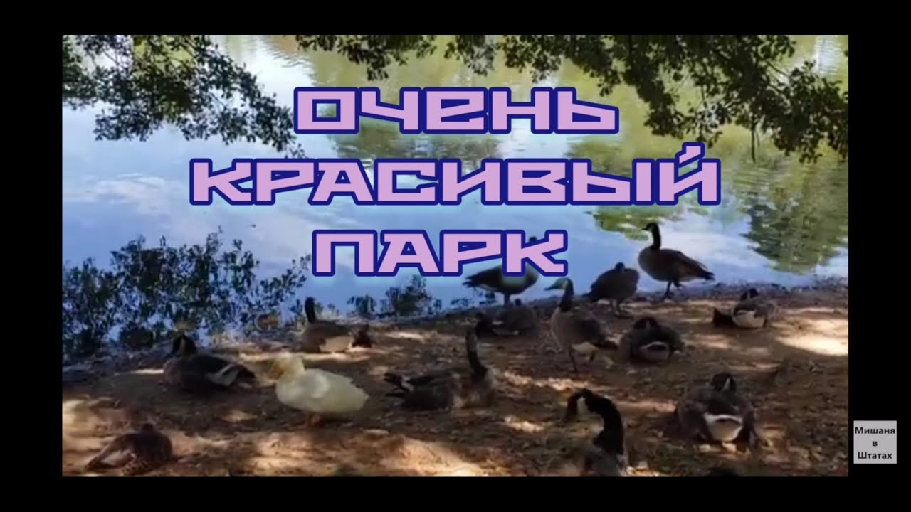 Оцените парк, как вам ? Мне очень понравился, очень красивый   Cleveland Park in Spartanburg SC//США