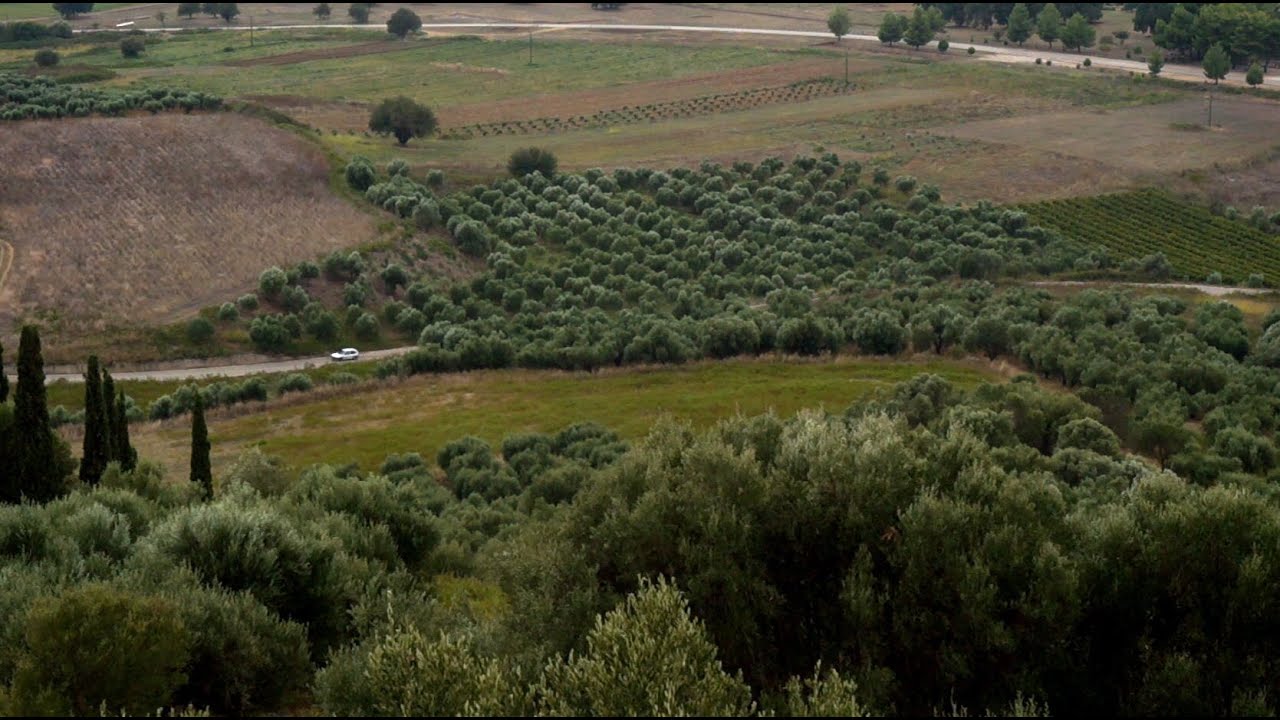 Trailer: &Theta;&epsilon;&alpha;&sigma;ά&mu;&epsilon;&nu;&omicron;&sigmaf; &Omicron;ί&delta;&alpha; [Ή&lambda;&iota;&sigmaf;]