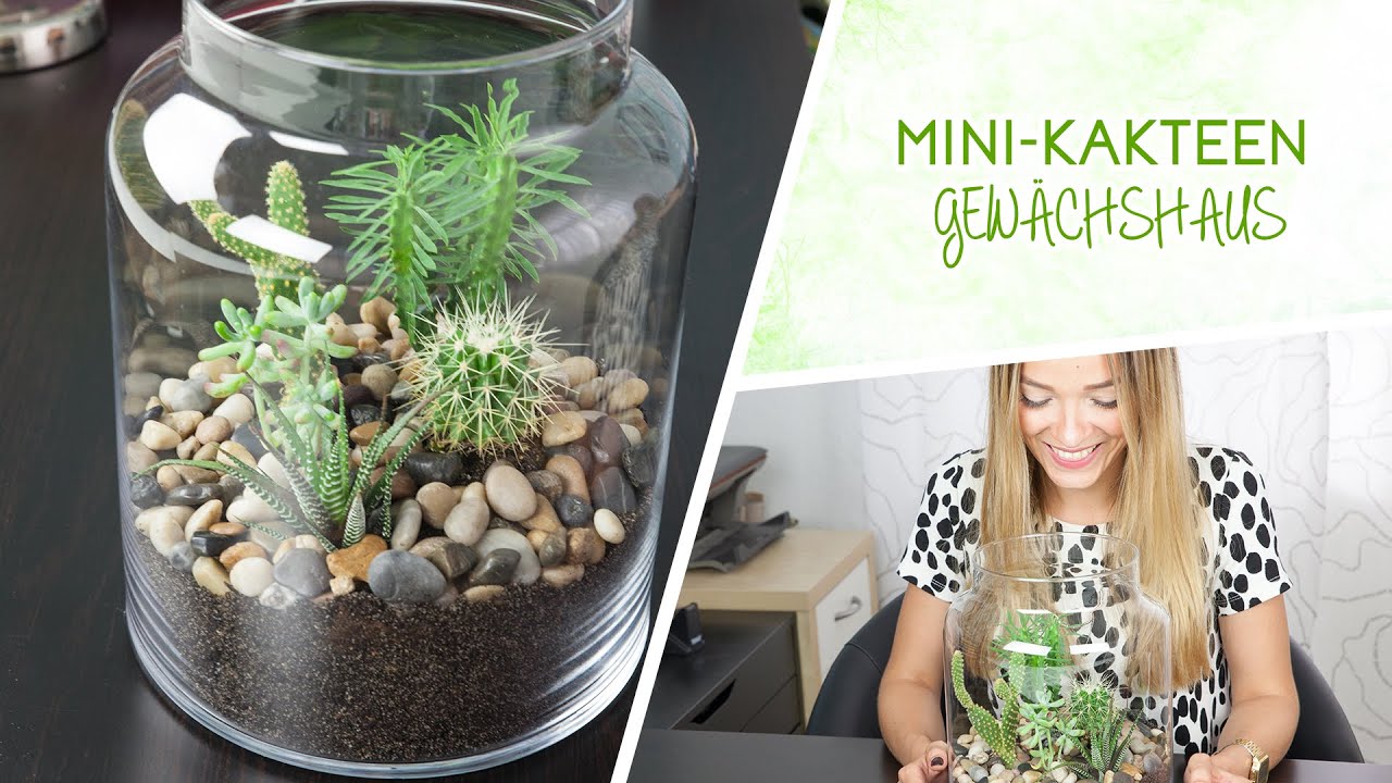 Mini-Kakteen Terrarium DIY