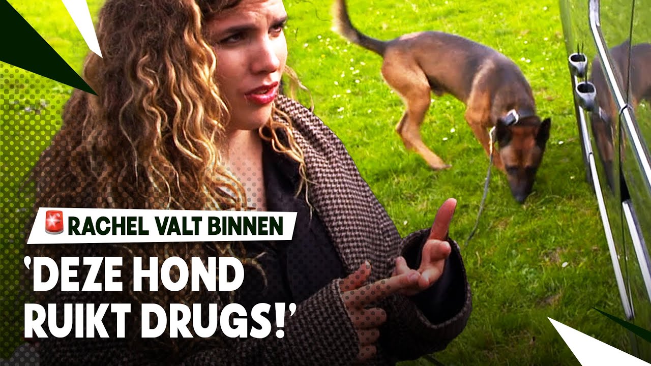SPEURHONDEN OPLEIDEN BIJ DE POLITIE 🐕 | Rachel Valt Binnen | seizoen3 #8 | NPO Zapp