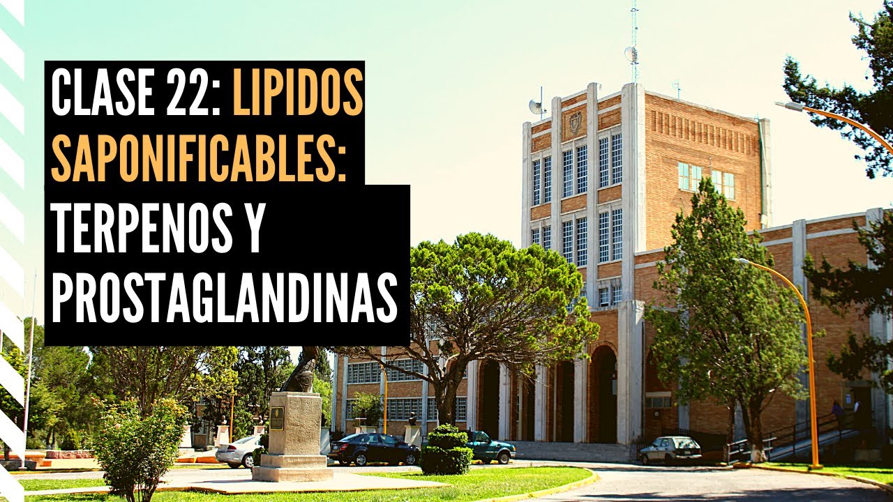 Lípidos Insaponificables: Terpenos y Prostaglandinas