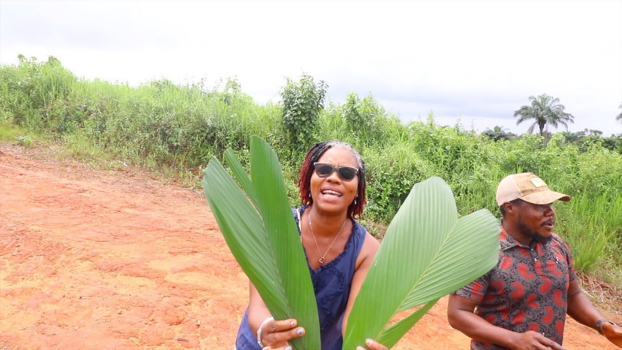 💙 2 LOTS OF LAND FOR SALE NEAR THE ROBERT'S INTERNATIONAL AIRPORT 💙 | LIBERIA 2023 | HelenasQueendom
