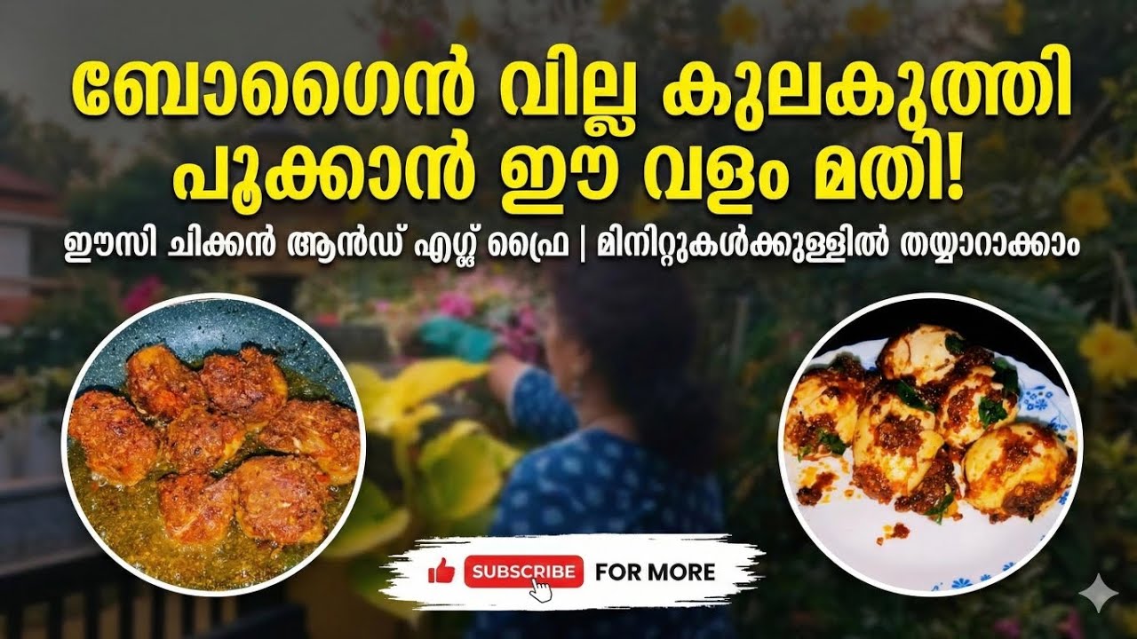 ബോഗൈൻ വില്ലക്കൊരു സൂപ്പർ വളം... ഈസി ചിക്കൻ ആൻഡ് എഗ്ഗ് ഫ്രൈ 