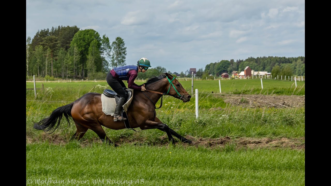 Farhh Out med Anna Pilroth inf&ouml;r start p&aring; s&ouml;ndag den 15:e juni i Bloomer's Vase (L)