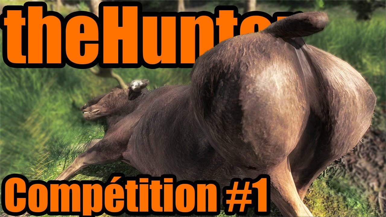 The Hunter - Compétition #1 !
