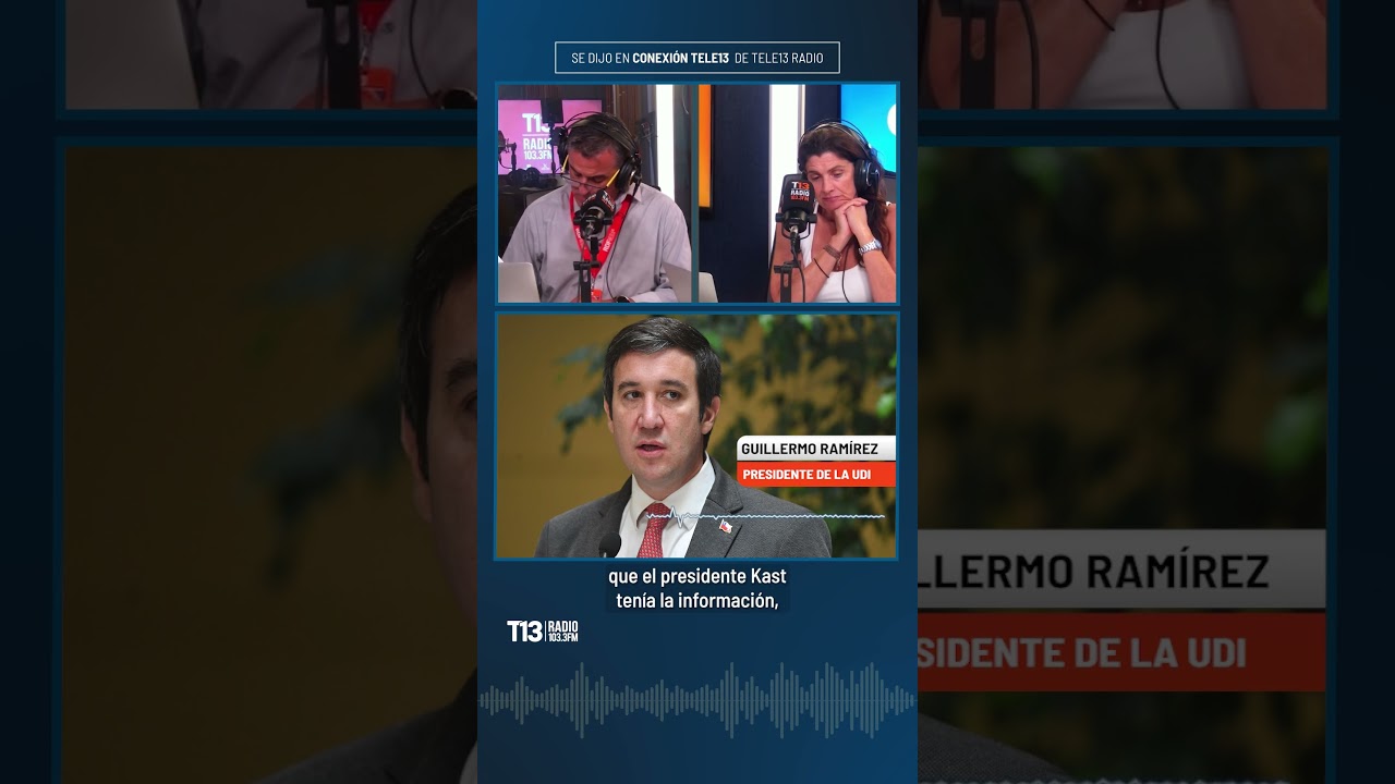 Pdte de la UDI: 