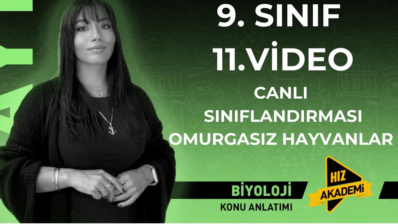 9 SINIF MAARİF MODEL YENİ MÜFREDAT  CANLI SINIFLANDIRILMASI OMURGASIZ HAYVANLAR