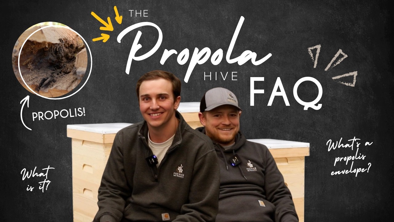 The ONLY Video That You Need About the Propola Hive (We Hope!) | Premier Bee Products