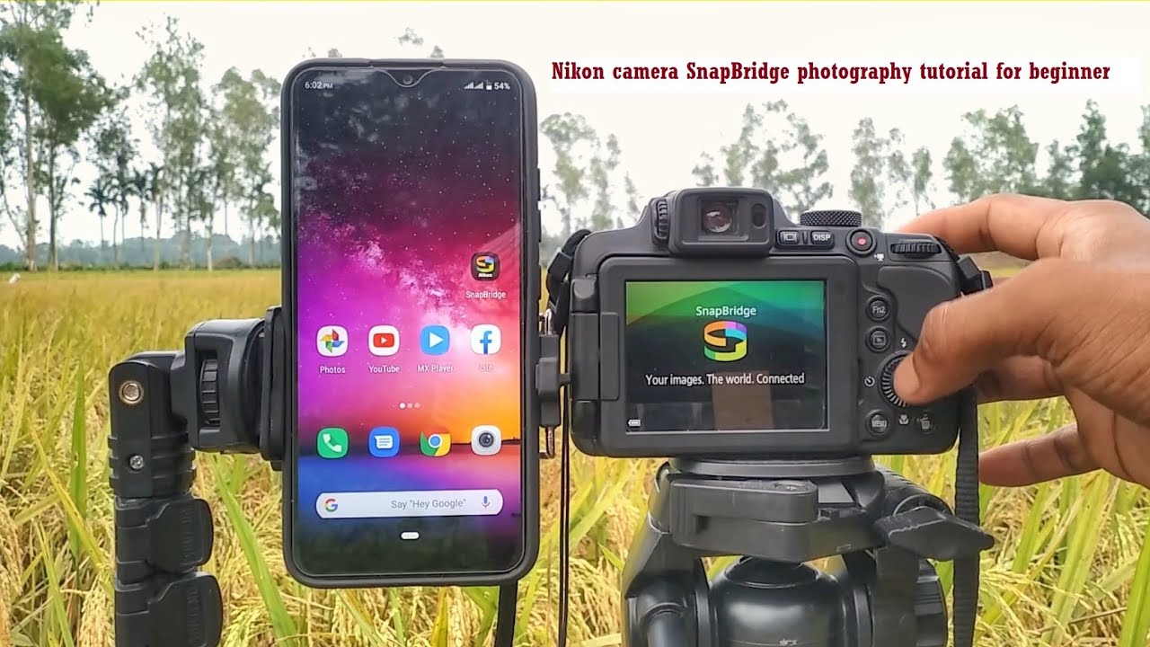 How to connect Nikon SnapBrige ,Remote Photograpy, Basic setting  tutorial for beginner