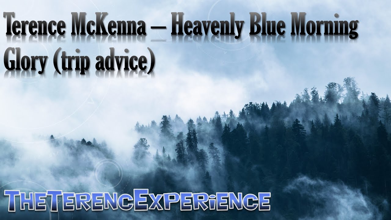 Terence McKenna &ndash; Heavenly Blue Morning Glory (trip advice)