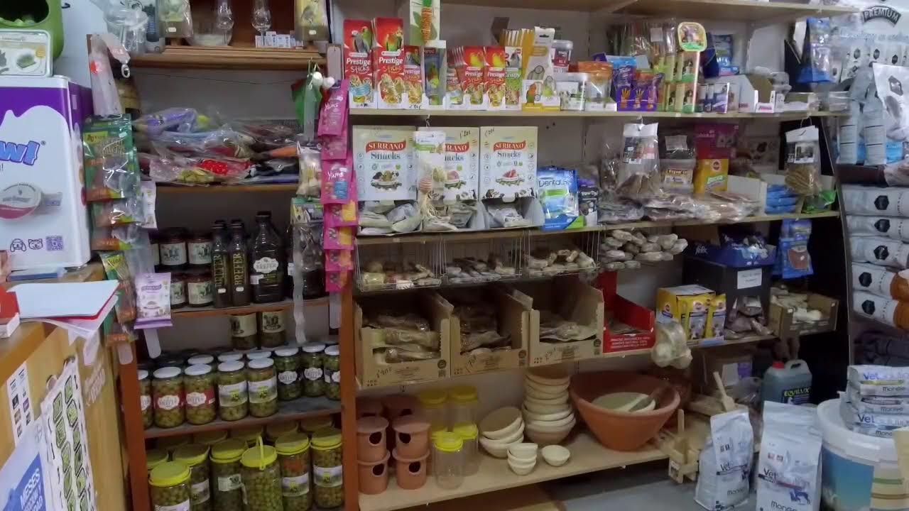 ENTRADA TRIUNFAL DE JEREZ EN EL ROCÍO