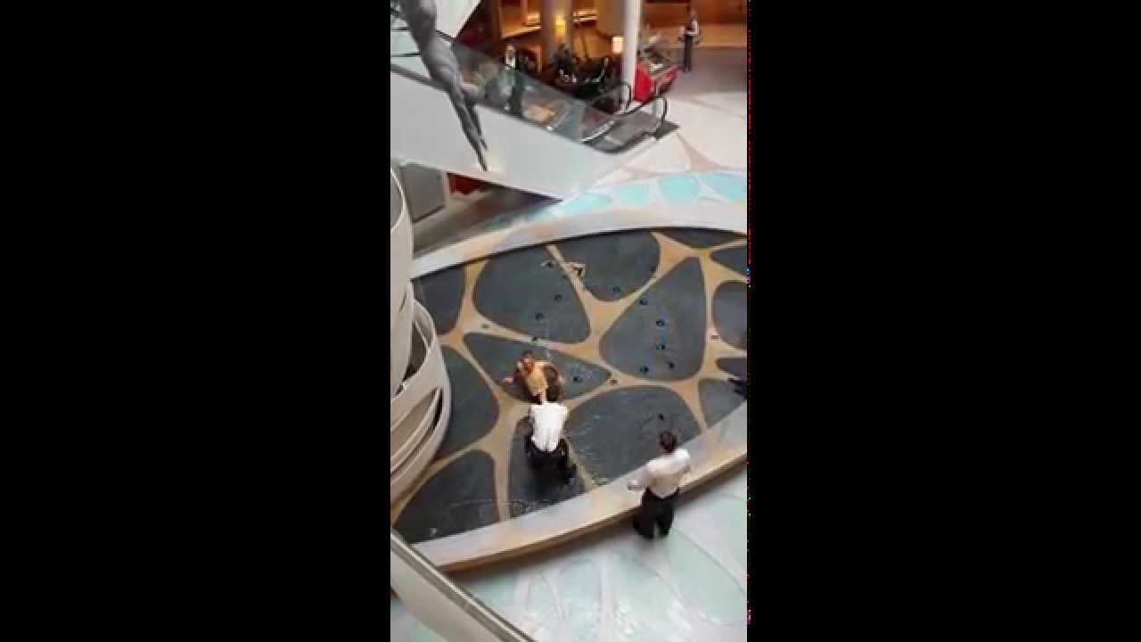 Galeria Rzeszów występ foczki.