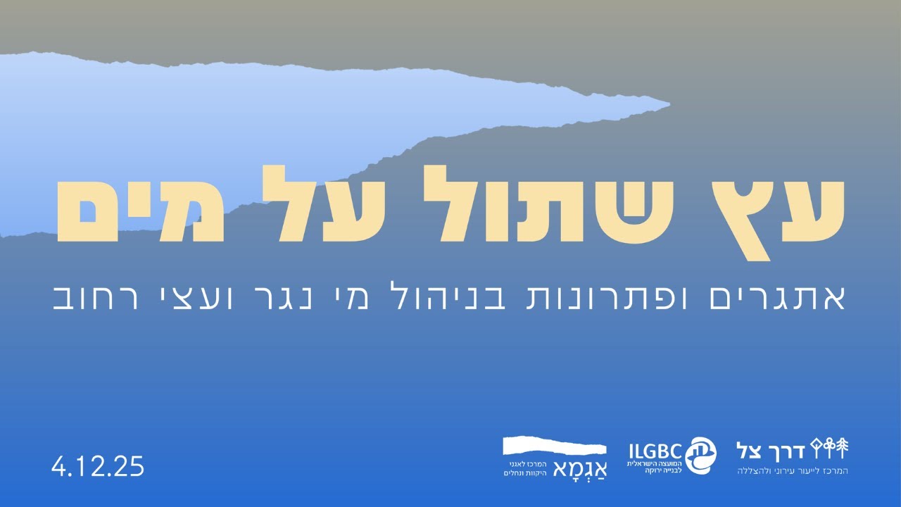 וובינר 