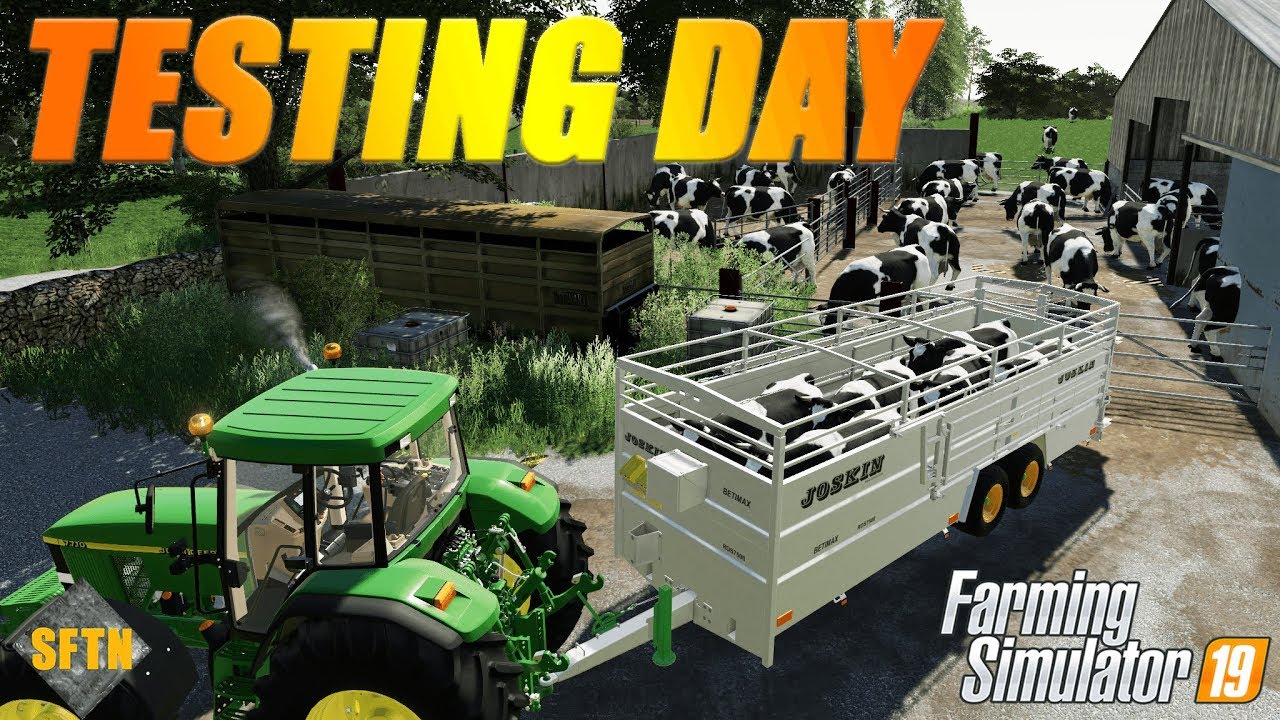 MEADOW GROVE FARM - Testing and shifting cattle! | Farming Simulator 19 Roleplay - ep20