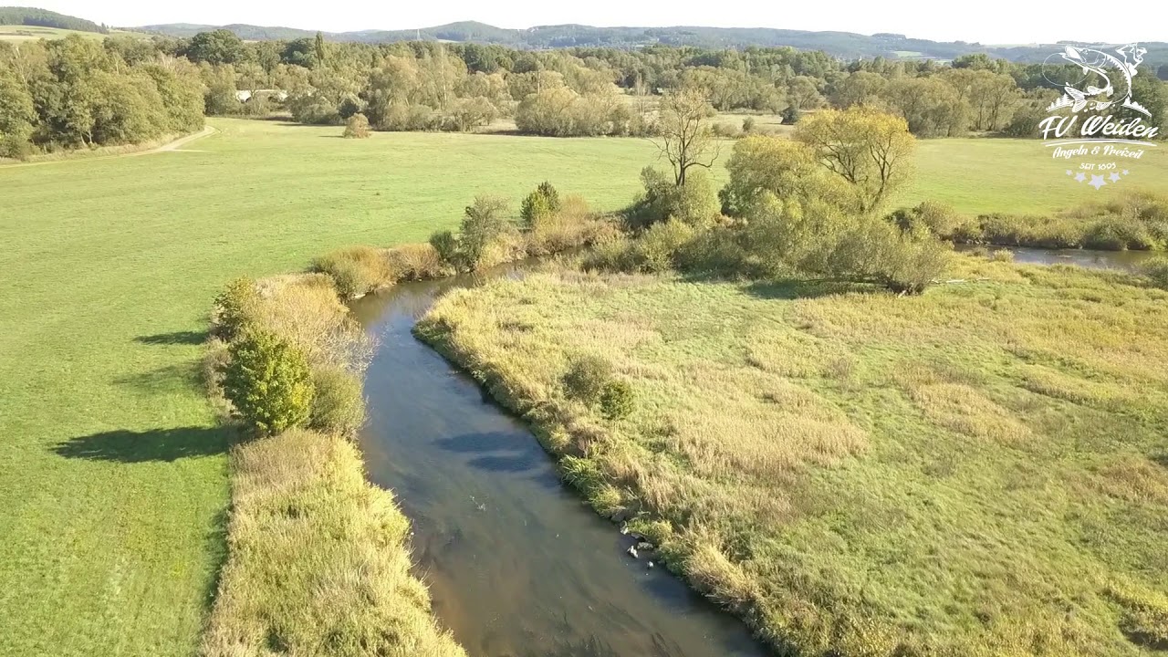 Fischereiverein Weiden - Haidenaab (Gew&auml;sser F05)