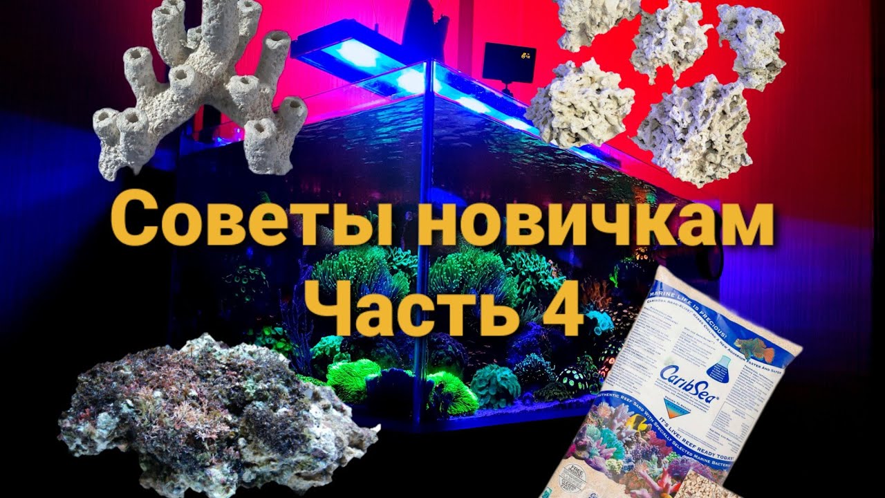 Советы новичкам. Часть 4