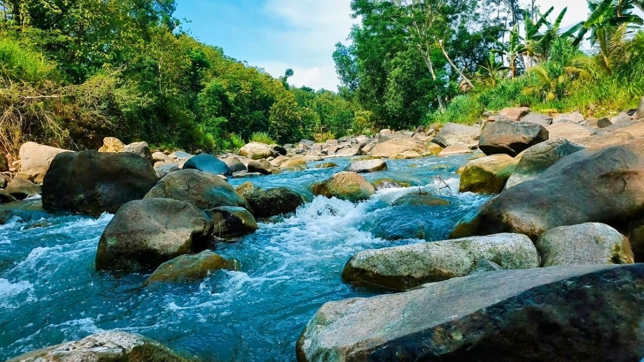 Live 24/7 Tranquil River Flow – Relaxing Water Sounds & Green Noise for Sleep & Calm