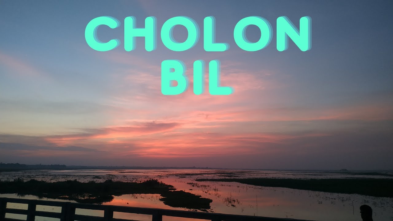 The Nature of Chollon Bil | The Beauty Of Chollon  bil |  Evergreen CholonBil 😍
