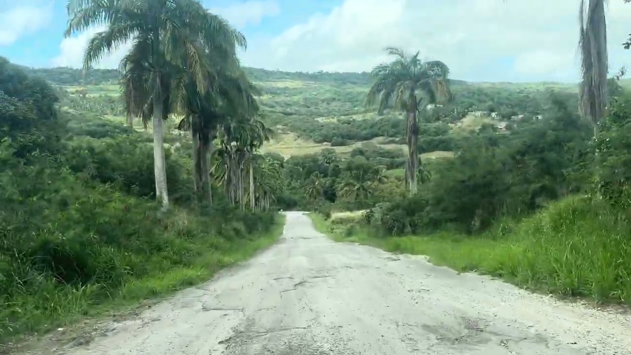Driving in rural Barbados 