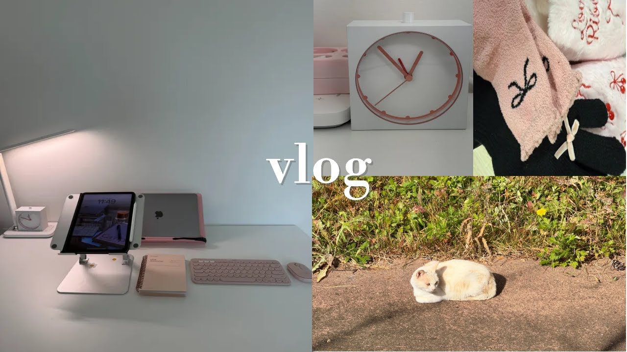 vlog. 일상에 공부 한스푼 | 자격증 공부 | 한능검 | 집공 | 산책 |  📚 노르웨이의 숲