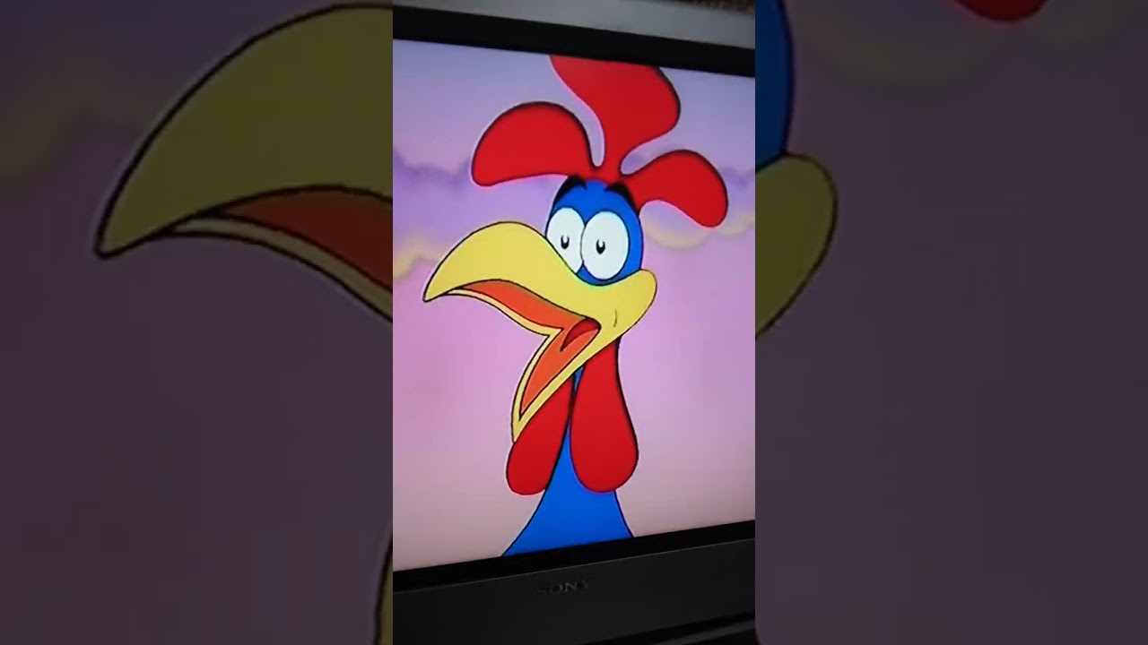 i cartoni dello zecchino d'oro volume 1 il torero camomillo