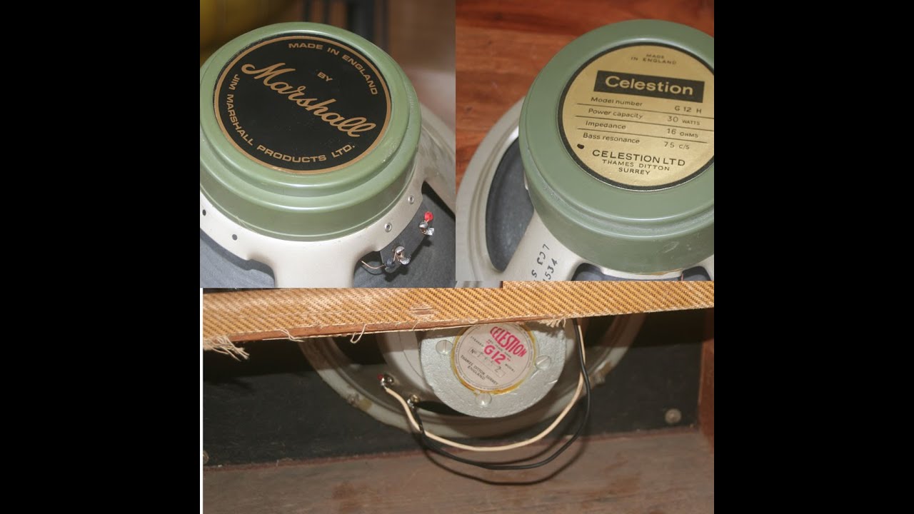 Celestion 3 Pulsonic Cones & a Vox AC30 from 1965