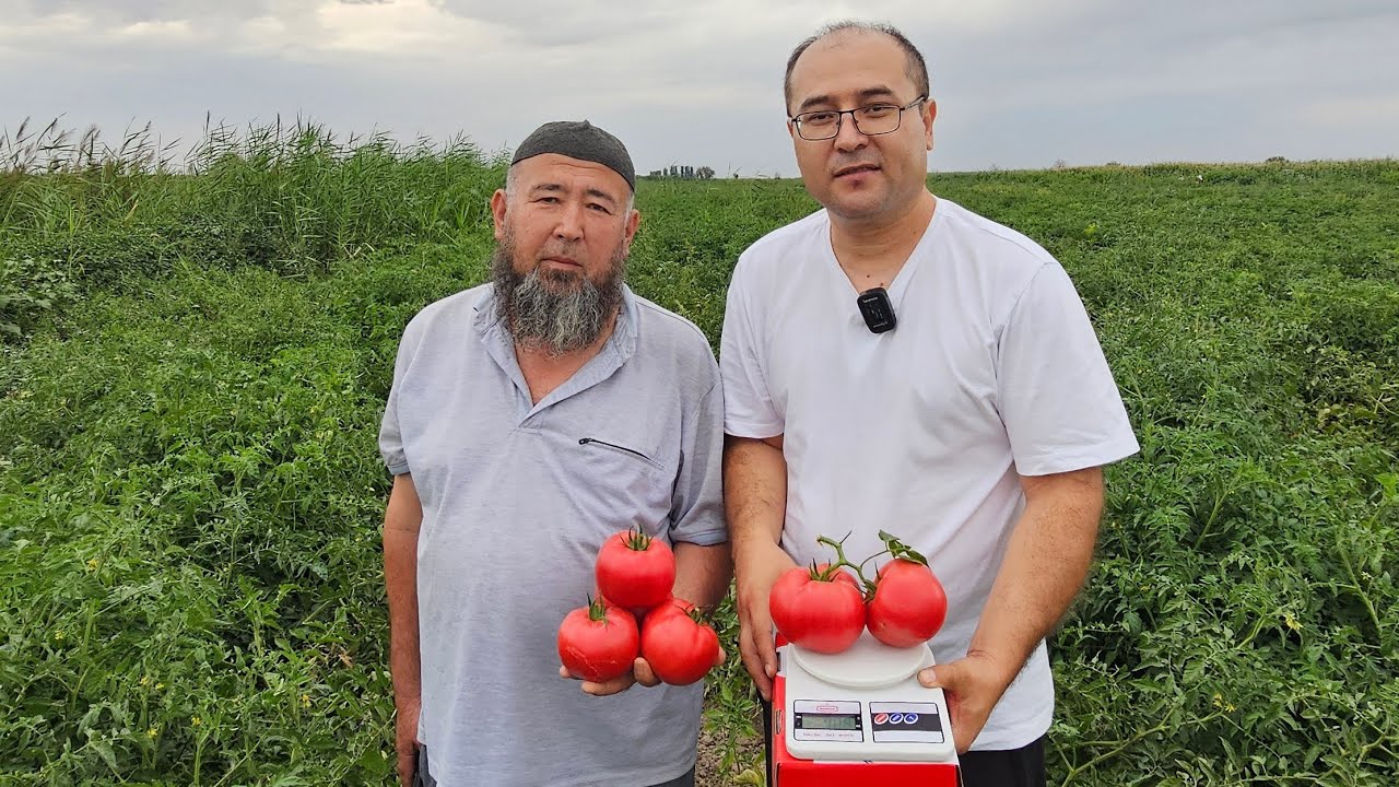 КЫРГЫЗСТАН 🇰🇬 