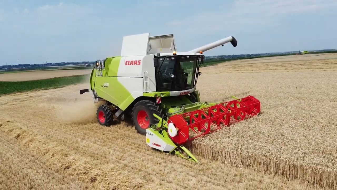 Claas Tucano 320 duo aan het combinen in België Riemst)(StassenStro