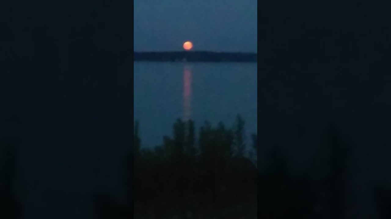 Saturday Night Worship 02/14/26  #2  Praise the Lord! For His merciful kindness is great toward us!